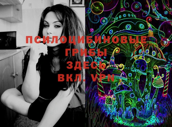 круглые Бронницы