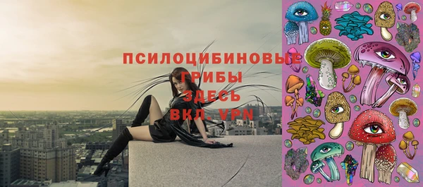 MESCALINE Бородино