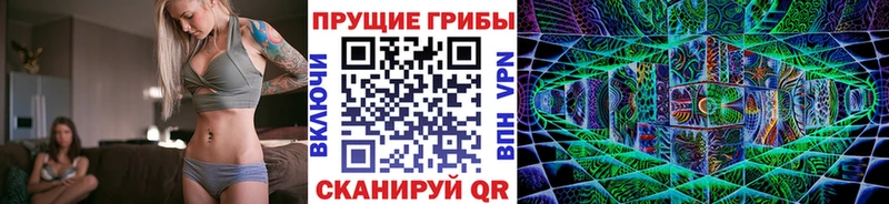 Галлюциногенные грибы Psilocybine cubensis  как найти закладки  Дигора 